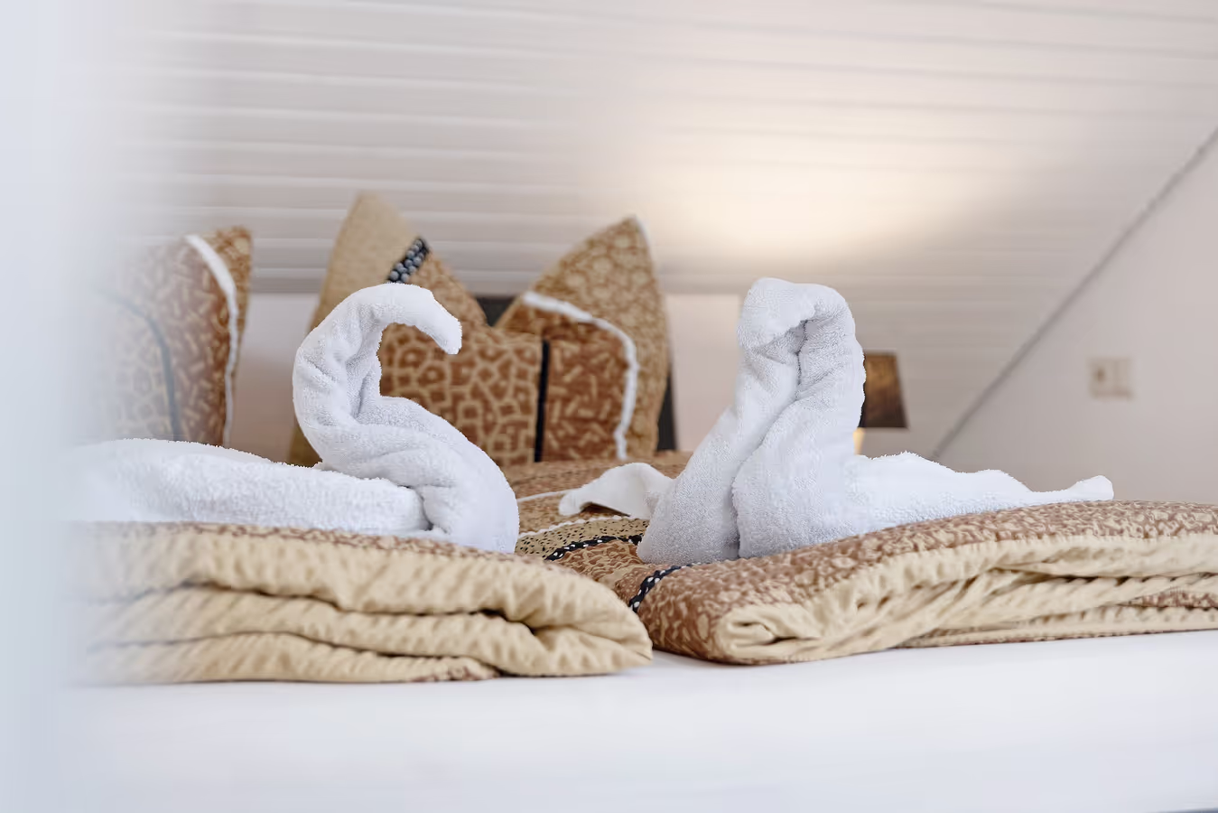 Ferienwohnung Dahlie Zimmeransicht